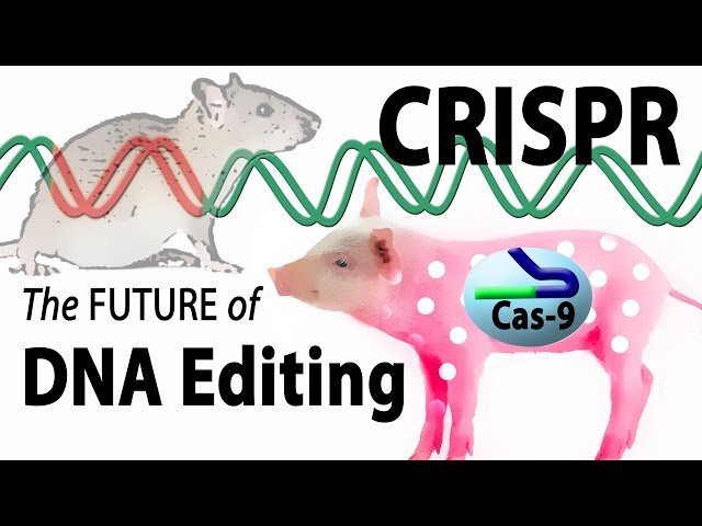 Check out CRISPR (Genetic Engineering)!